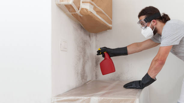 Professional Attic Mold Remediation technician working in Caledonia, MN