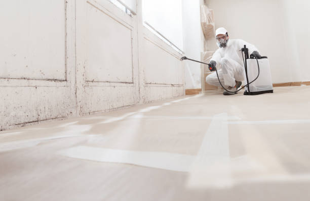 24/7 Emergency Attic Mold Remediation experts in Caledonia, MN